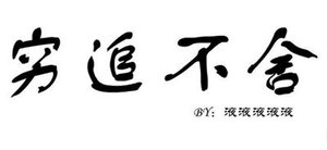 穷追不舍